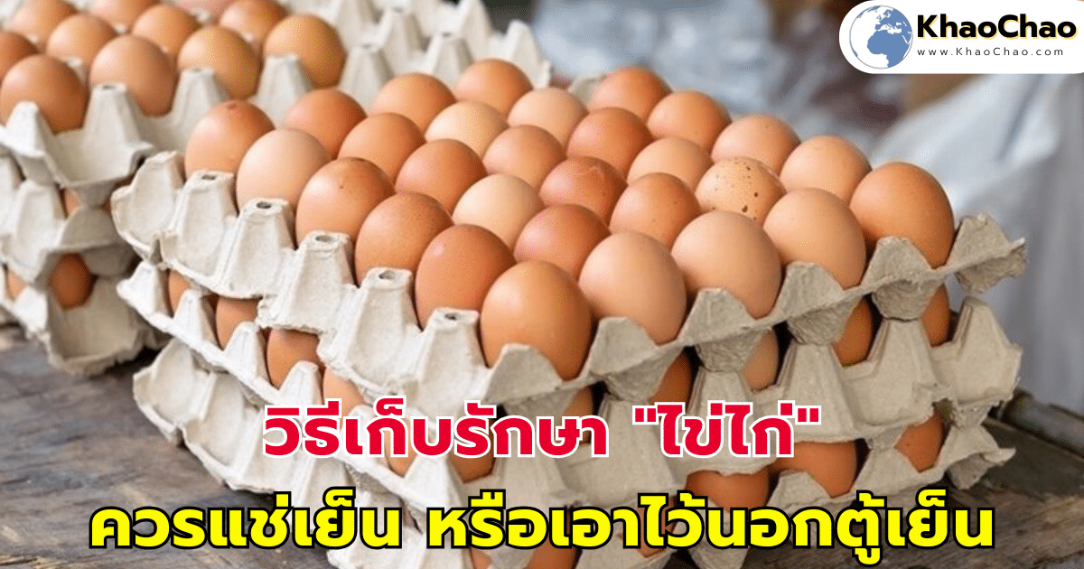 วิธีเก็บรักษา "ไข่ไก่" ควรแช่เย็น หรือเอาไว้นอกตู้เย็น