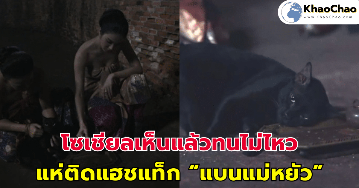 โซเชียลเห็นแล้วทนไม่ไหว แห่ติดแฮชแท็ก “แบนแม่หยัว”