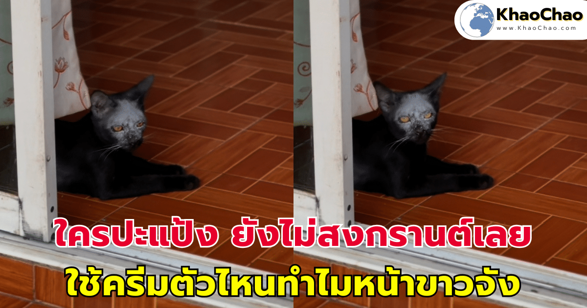 ใครปะแป้ง ยังไม่สงกรานต์เลย ใช้ครีมตัวไหนทำไมหน้าขาวจัง