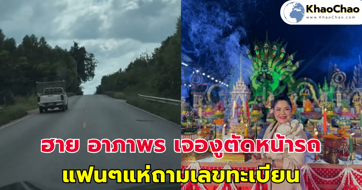 ฮาย อาภาพร เจองูเลื้อยตัดหน้ารถ แฟนๆแห่ถามเลขทะเบียน