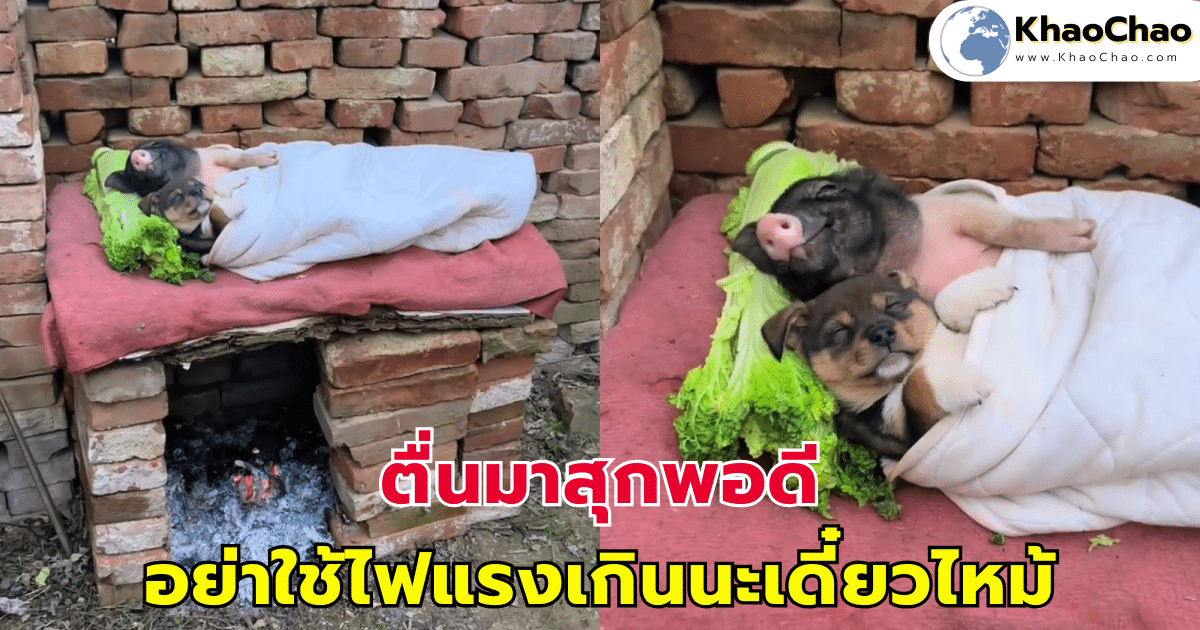 ตื่นมาสุกพอดี ตักข้าวรอแปป อย่าใช้ไฟแรงเกินนะเดี๋ยวไหม้