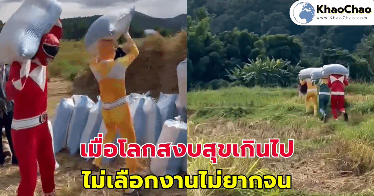 เมื่อโลกสงบสุขเกินไป ไม่เลือกงานไม่ยากจน ไม่มีปีศาจให้ปราบก็แบกข้าวไปก่อน